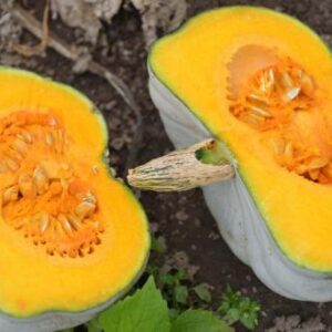 Bundeva Crown Prince