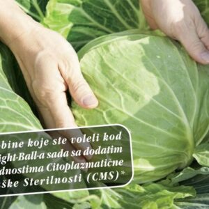 Kupus Magnus Cresco F1