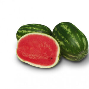 Lubenica Nautilus F1