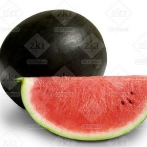 Lubenica Nostalgija F1