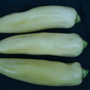 paprike Beli biser F1