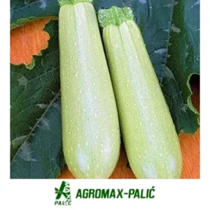 tikvice Aziad F1 - 500 semena