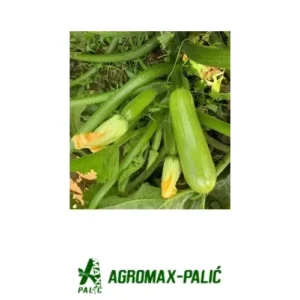 tikvice Imperator F1 - 500 semena