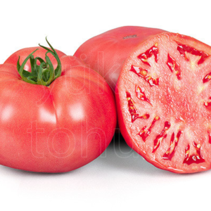 paradajza Pink Panther F1 – 500 semena