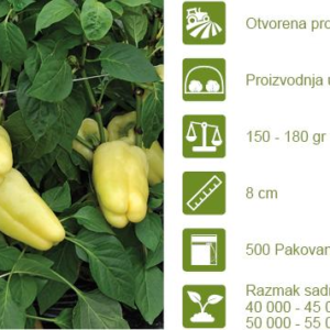 paprike Barbie F1 – 500 semena